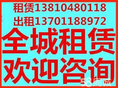 柴油空压机出租，电动空压机租赁，出租无油空压机 螺杆空压机出