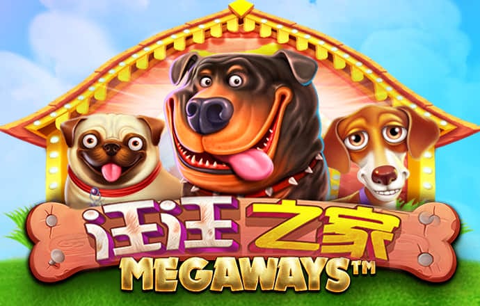 索纳币价格走势图
